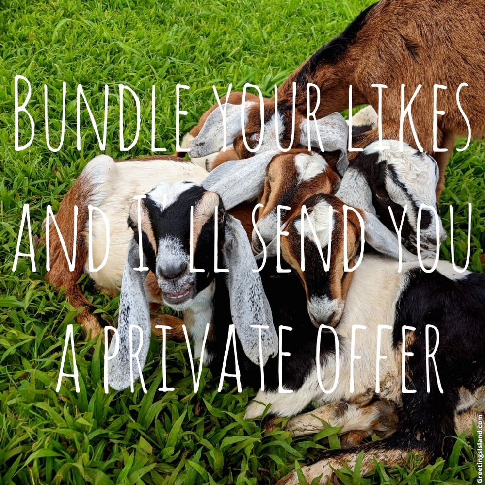 Bundle $20 or more and I'll send a private offer